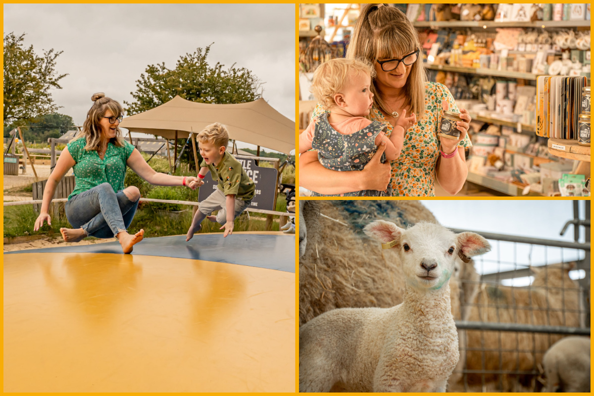 Collage (left to right) family playing at Cotswold Farm Park, mother and child browsing the Ox Shed, lamb.